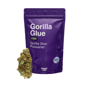 Gorilla glue