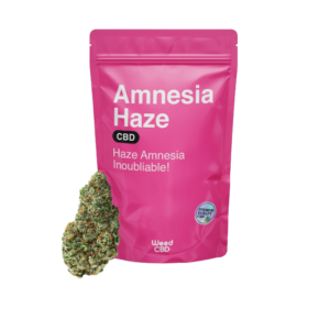 AMNESIA HAZE