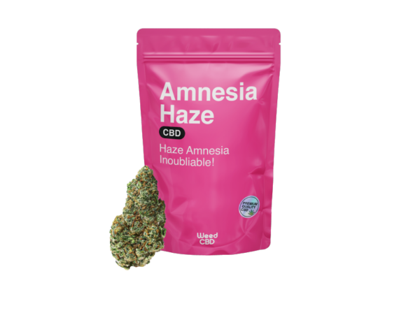 AMNESIA HAZE