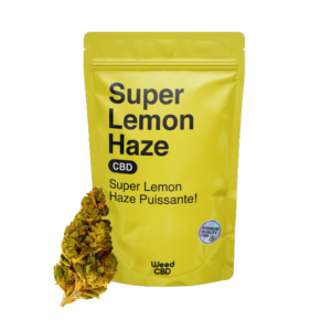 LEMON HAZE