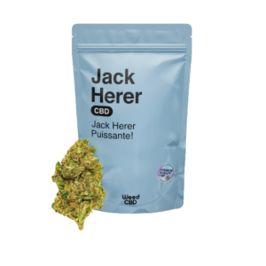 JACK HERER