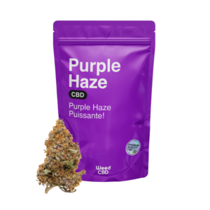 PURPLE HAZE