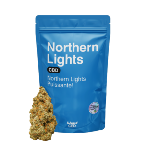 NORTHERN LIGHT