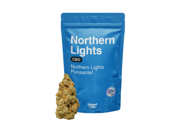 NORTHERN LIGHT
