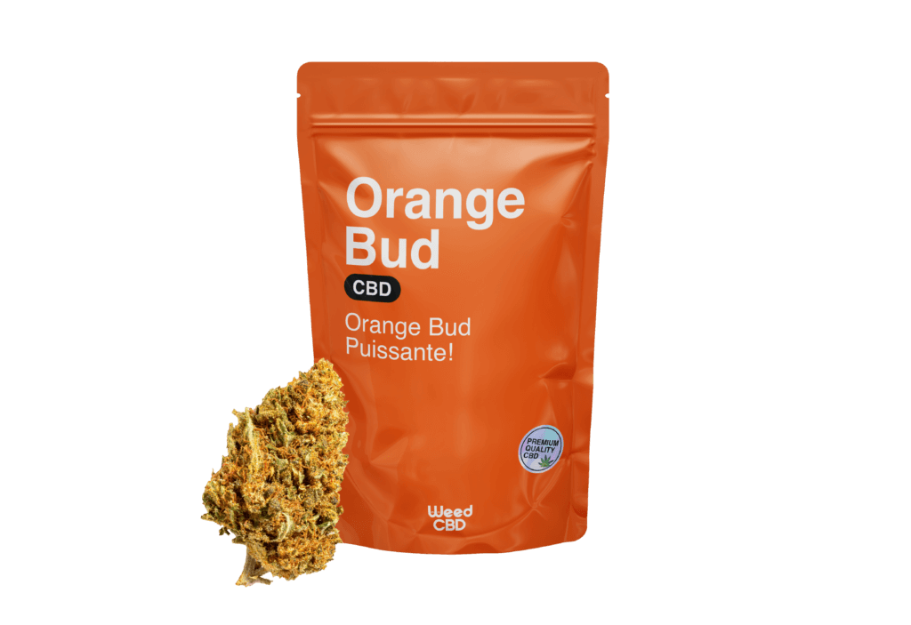 ORANGE BUD