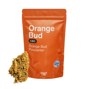 ORANGE BUD