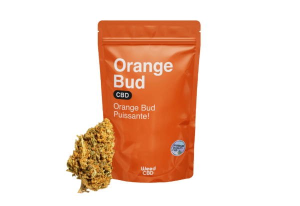 ORANGE BUD