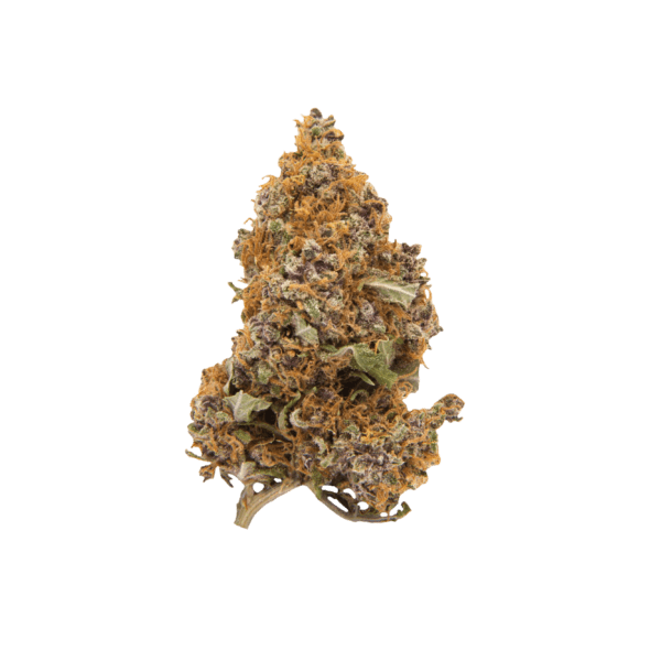 PURPLE HAZE